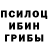 Галлюциногенные грибы Psilocybe majorabb