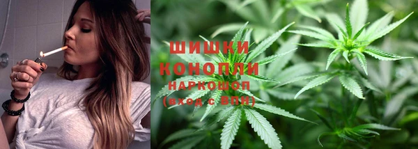 ALPHA PVP Бородино