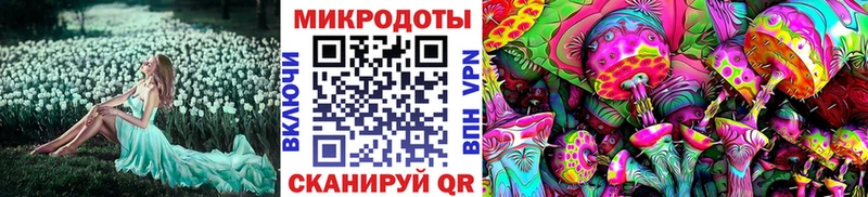 Псилоцибиновые грибы GOLDEN TEACHER  OMG маркетплейс  Дно 